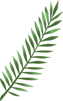Elements summer sale banner NK5W2VA leaf 3.png