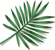 Elements summer sale banner NK5W2VA leaf 6.png